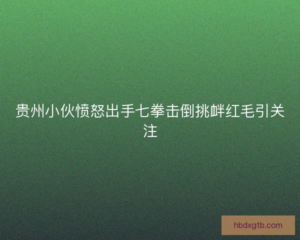 贵州小伙愤怒出手七拳击倒挑衅红毛引关注